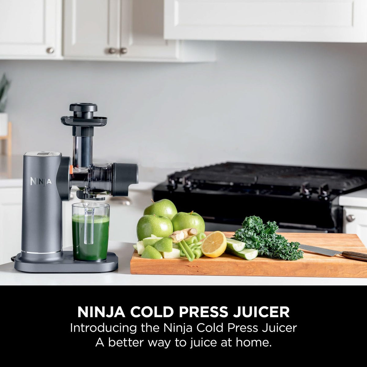 Cold Press Juicer 23.7 fl oz 150W Gray