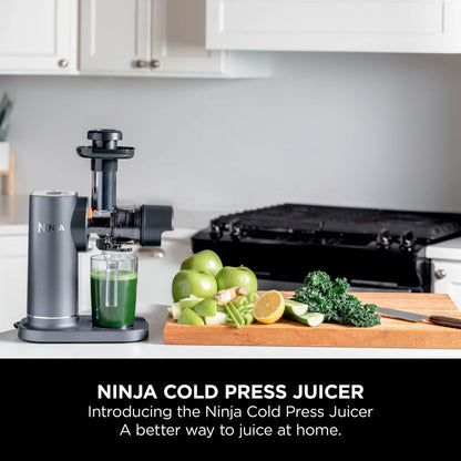 Cold Press Juicer 23.7 fl oz 150W Gray