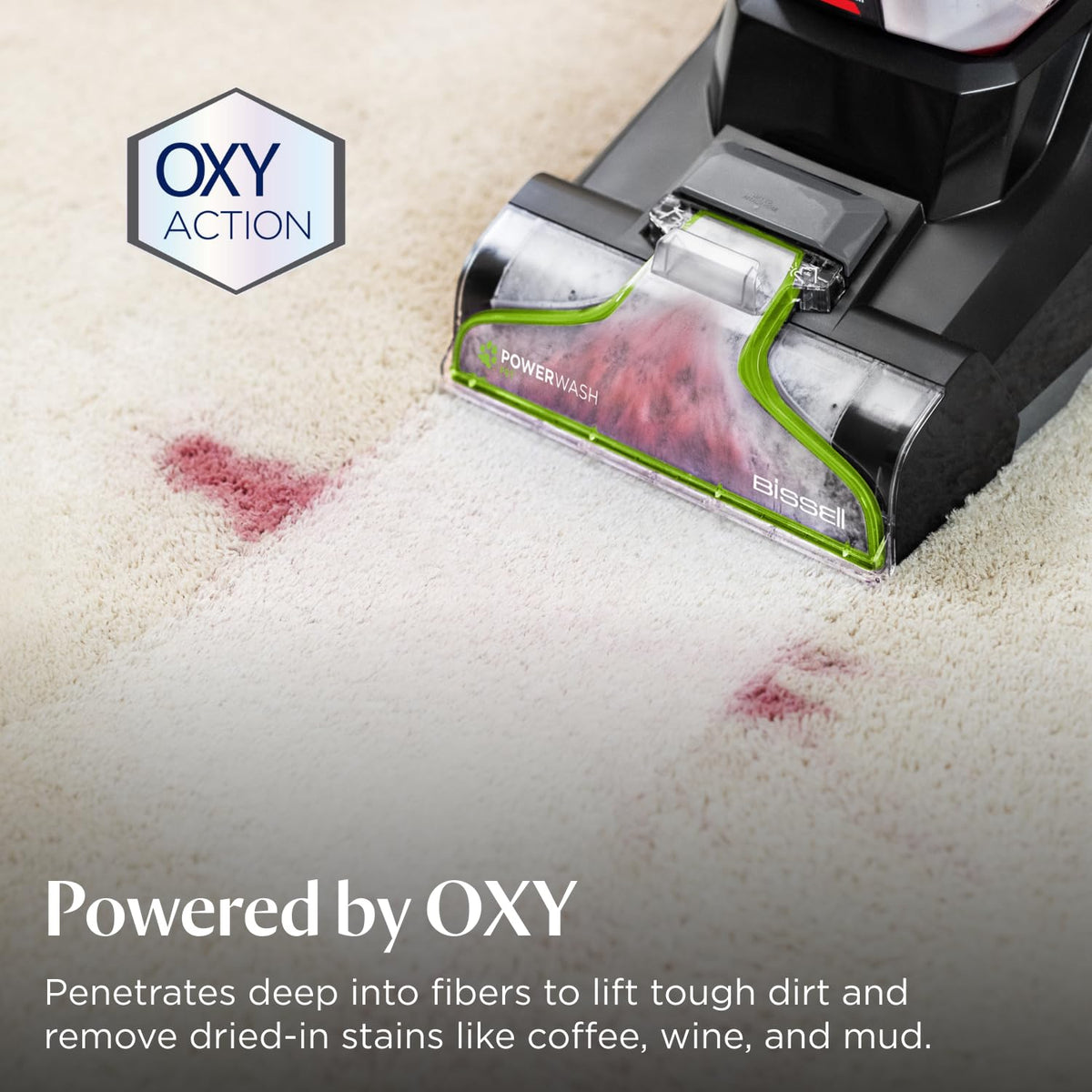Carpet Cleaning Solution 1.6 Qt Oxy Stain Remover Fresh Scent